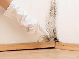 Best Mold Remediation for Healthcare Facilities in USA